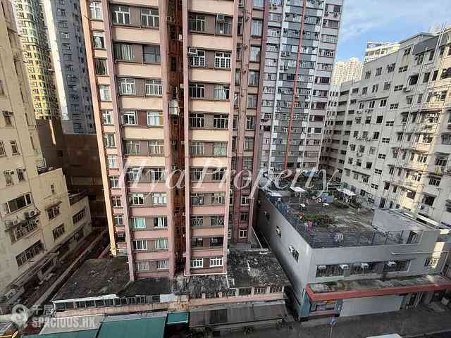 坚尼地城 - 百年大楼 07