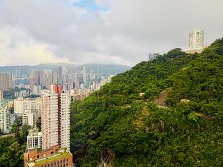 Mid Levels East - 74, Bamboo Grove 18