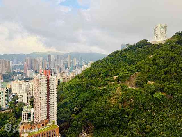 東半山 - 竹林苑74號 18