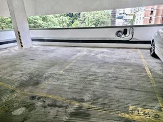 中半山 - 殷樺花園 14