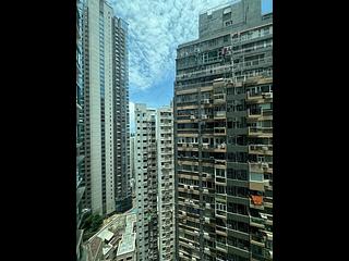 中半山 - 高云台 04