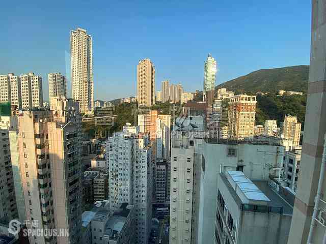 跑马地 - 名仕花园 01