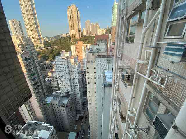 跑马地 - 名仕花园 02