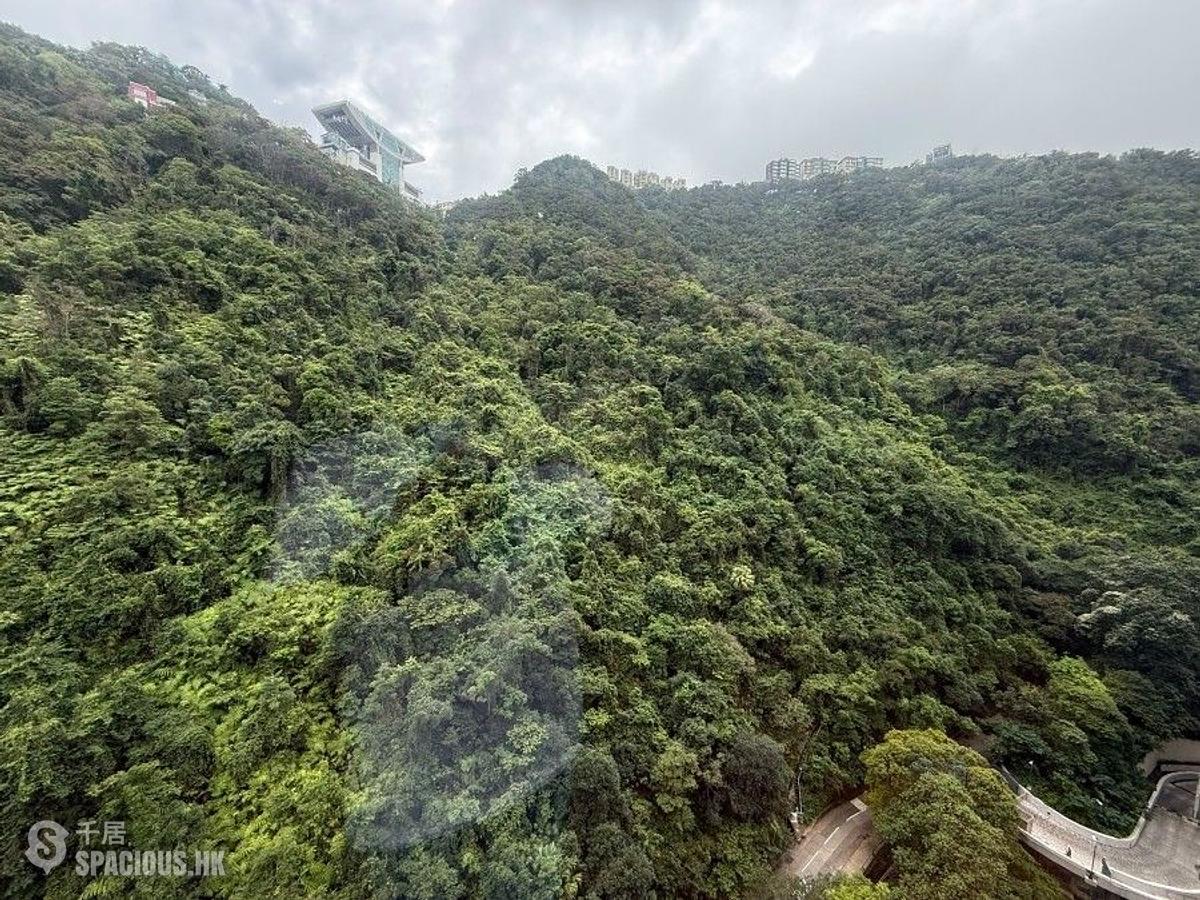 中半山 - 騰皇居II 01
