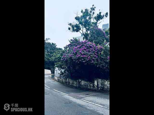 Clear Water Bay - Mount Pavilia Block 7 05