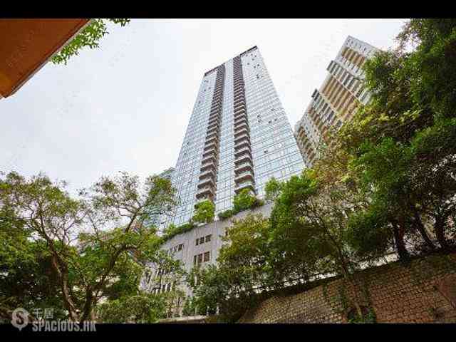 Tai Hang - The Signature 13