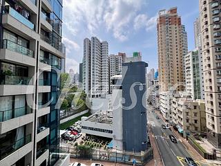 跑马地 - V Happy Valley 10