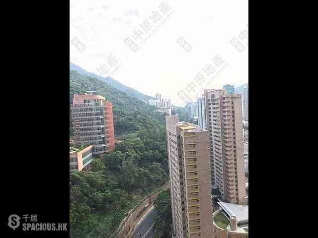 Shek Tong Tsui - The Belcher's 06
