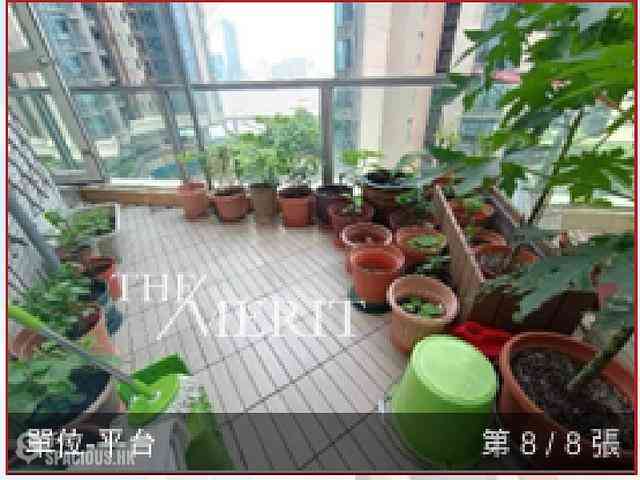 北角 - 港涛轩 08