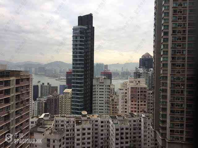 中半山 - 殷樺花園2期 10