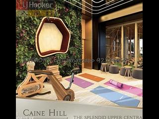 苏豪 - Caine Hill 08