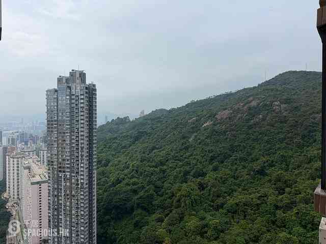 大坑 - 龍華花園2座 11