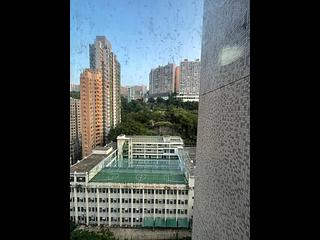 北角 - 枫林花园 20