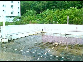 Pok Fu Lam - Pine Grove 03
