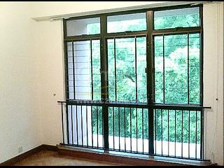 Pok Fu Lam - Pine Grove 08