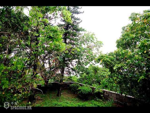 薄扶林 - 沙宣道47号 43