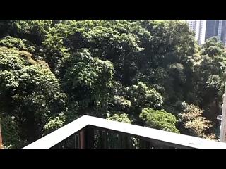 天后 - 柏傲山2座 09