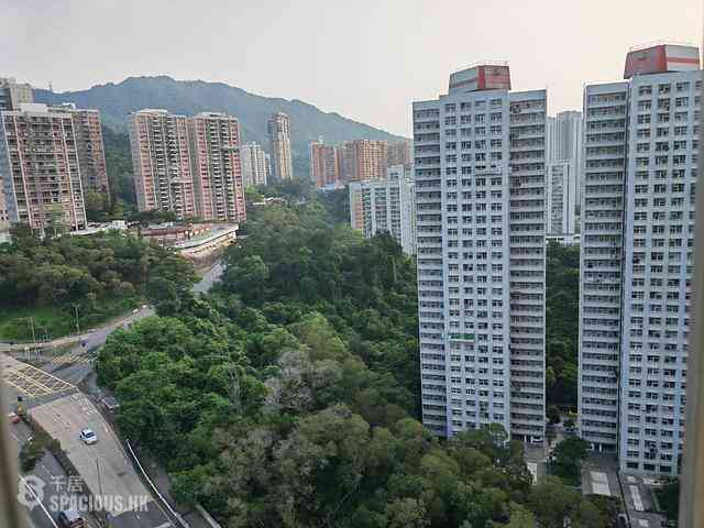 Tai Wai - Golden Lion Garden Phase 2 Golden Comfort Court (Block D) 01
