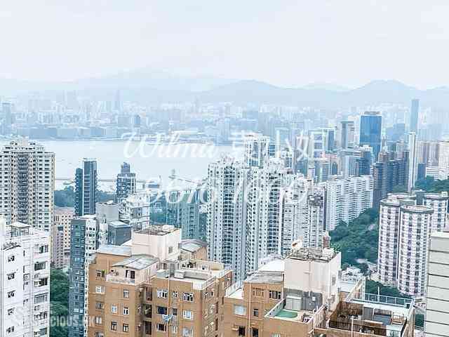 Tai Hang - Flora Garden 02