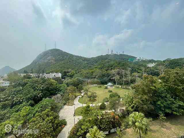 The Peak - The Mount Austin 12