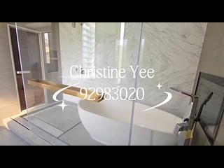 大坑 - 春晖8号 20