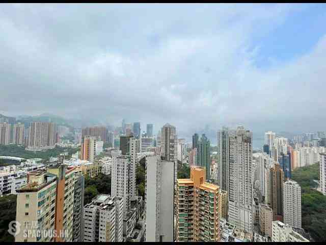 大坑 - 春晖8号 03