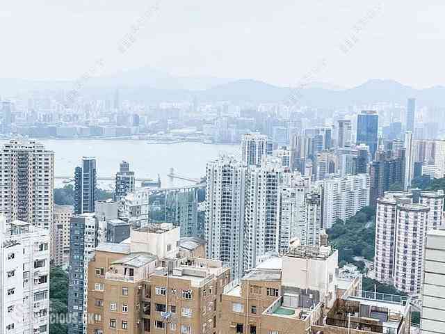 大坑 - 慧景園 06