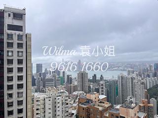 Tai Hang - Flora Garden 03