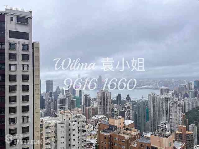 Tai Hang - Flora Garden 03