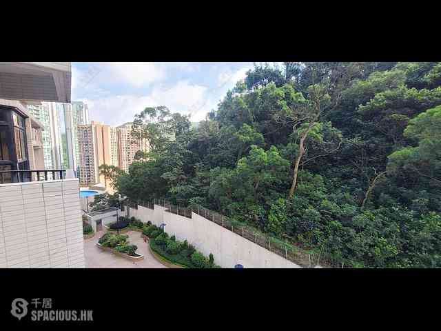 Tai Hang - Flora Garden 03