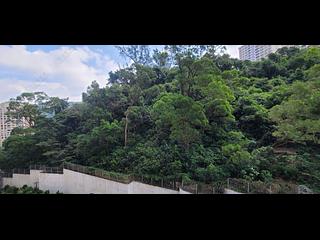 大坑 - 慧景园 04