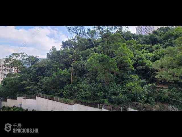 Tai Hang - Flora Garden 14