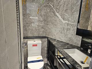 Wong Chuk Hang - The Southside Phase 3B Blue Coast Tower 2B 05