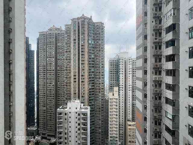 中半山 - 敦皓 15