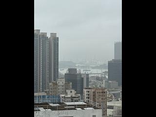 佐敦 - 高临 09