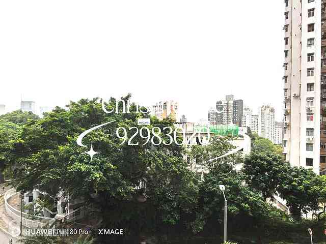大坑 - 柏園 04