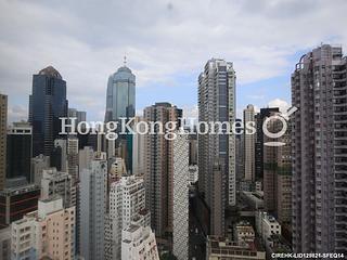 Poho - Rich View Terrace 02