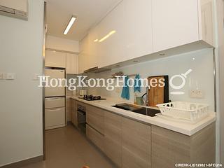 Poho - Rich View Terrace 07