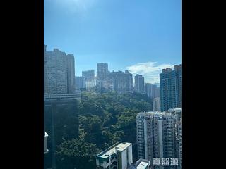 北角 - 柏蔚山1座 03