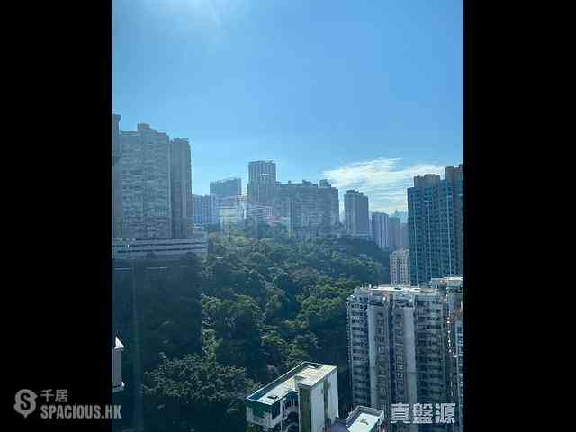 北角 - 柏蔚山1座 03