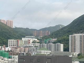 Happy Valley - The Aster (Resiglow) 08