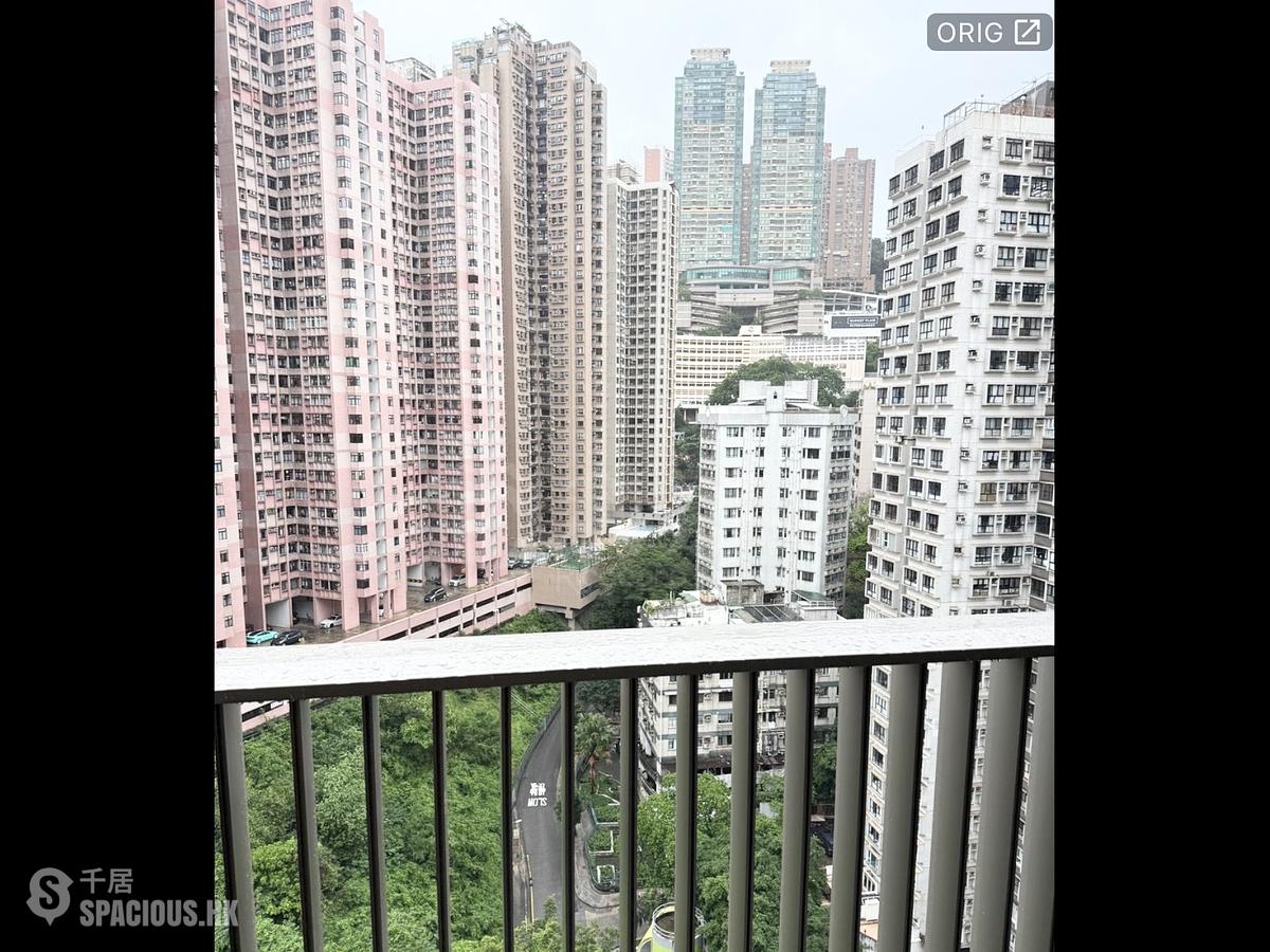 炮台山 - 101 Kings Road 01