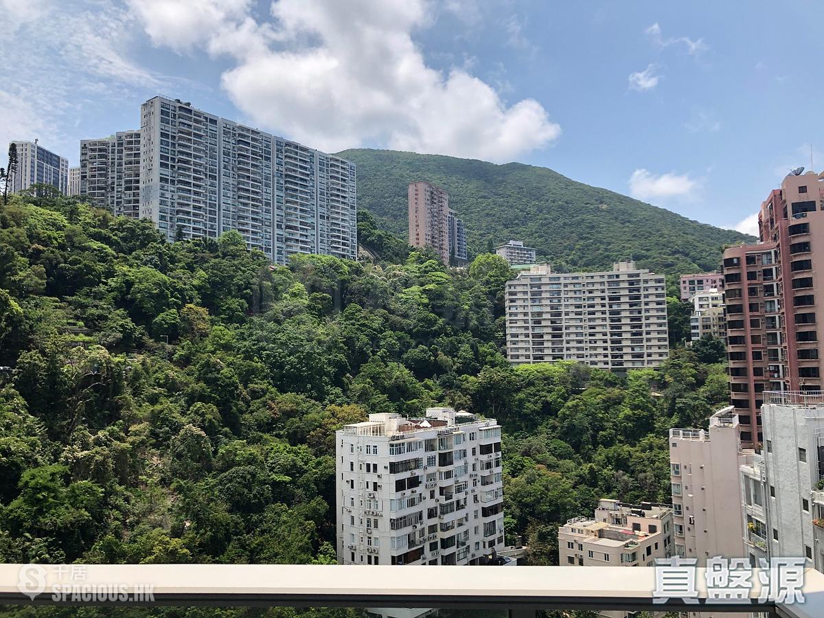 跑马地 - 纪云峰 01