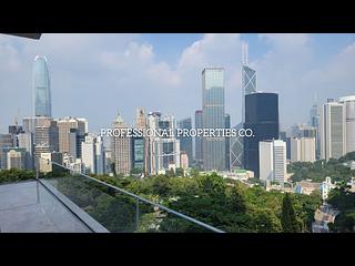 中半山 - 羅便臣道1號 09