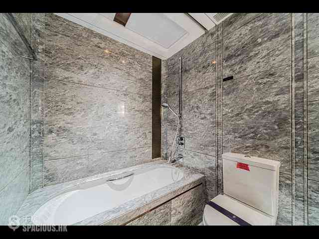 中半山 - 21 Borrett Road 1期 15