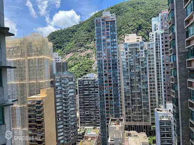 中半山 - 高雲臺 15