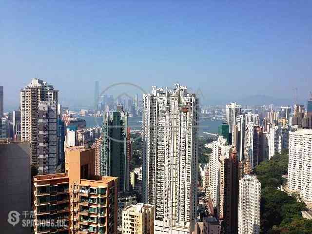 大坑 - 春晖8号 01