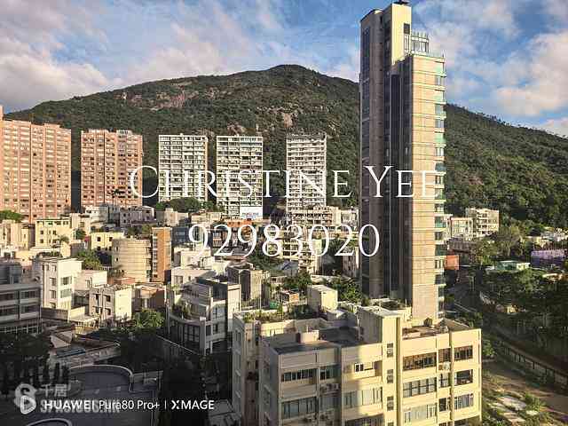 渣甸山 - 嘉云台 13