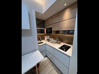 Jordan - Arbour 04