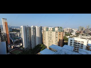 佐敦 - 本木 04